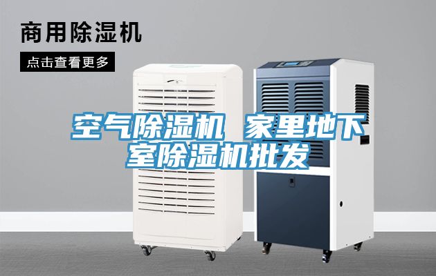 空气MR.好色破解版 家里地下室MR.好色破解版批发