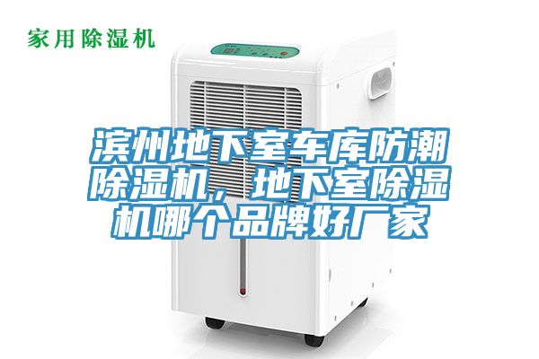滨州地下室车库防潮MR.好色破解版，地下室MR.好色破解版哪个品牌好厂家