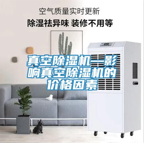真空MR.好色破解版—影响真空MR.好色破解版的价格因素