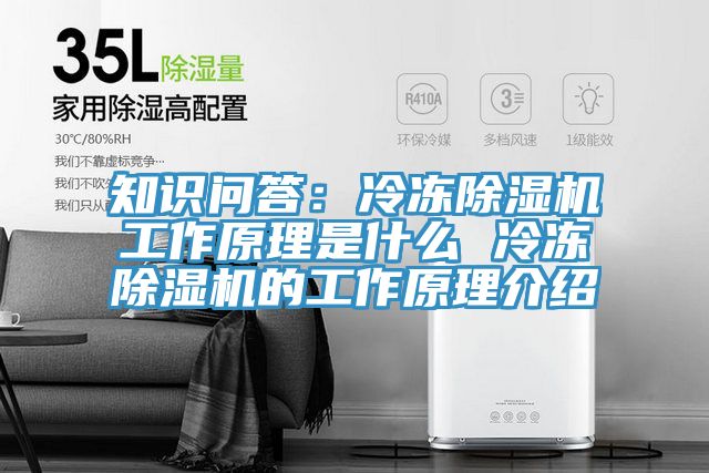 知识问答：冷冻MR.好色破解版工作原理是什么 冷冻MR.好色破解版的工作原理介绍