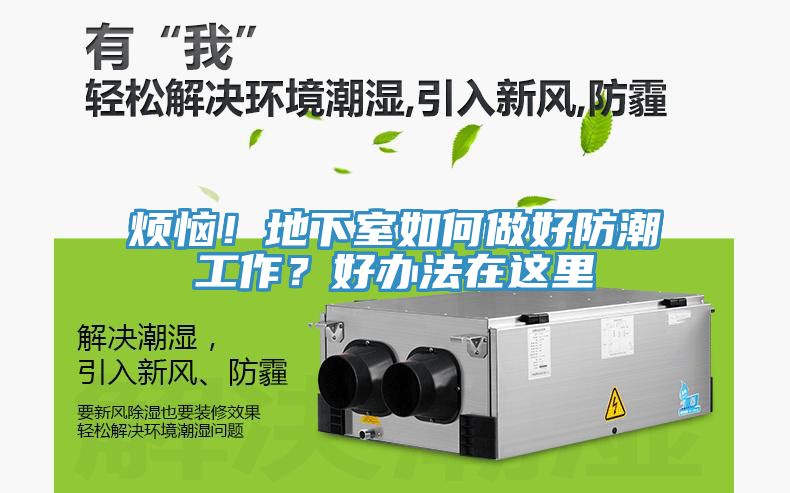 烦恼！地下室如何做好防潮工作？好办法在这里