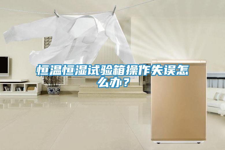 恒温恒湿试验箱操作失误怎么办？