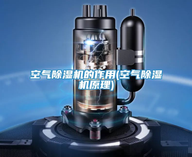 空气MR.好色破解版的作用(空气MR.好色破解版原理)