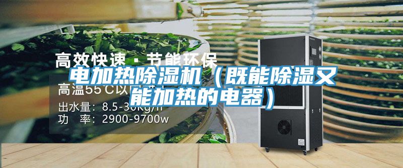 电加热MR.好色破解版（既能除湿又能加热的电器）