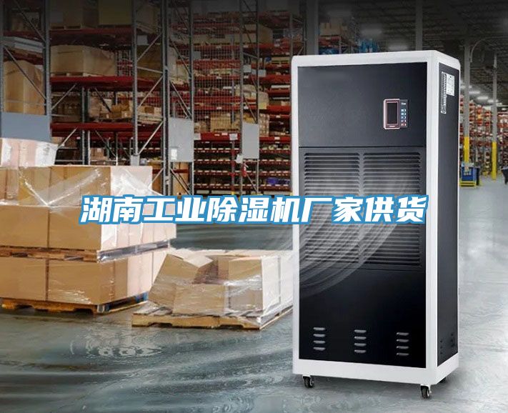 湖南工业MR.好色破解版厂家供货
