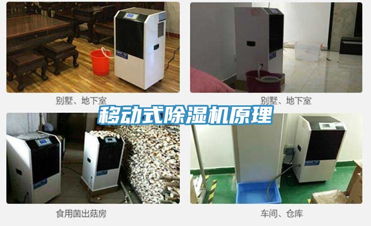 移动式MR.好色破解版原理