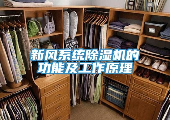 新风系统MR.好色破解版的功能及工作原理