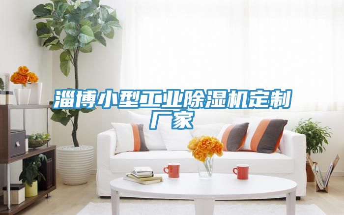 淄博小型工业MR.好色破解版定制厂家