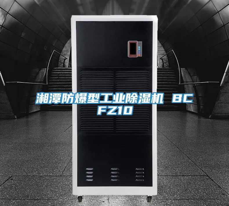 湘潭防爆型工业MR.好色破解版 BCFZ10