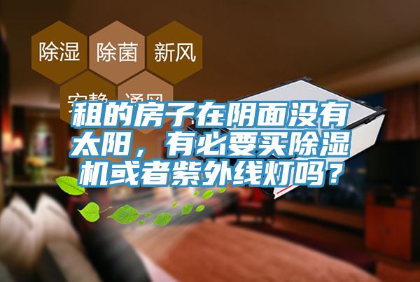 租的房子在阴面没有太阳，有必要买MR.好色破解版或者紫外线灯吗？