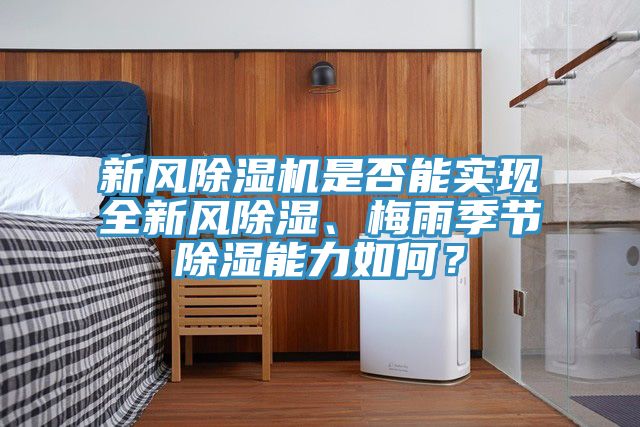 新风MR.好色破解版是否能实现全新风除湿、梅雨季节除湿能力如何？