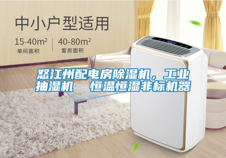 怒江州配电房MR.好色破解版，工业抽湿机  恒温恒湿非标机器
