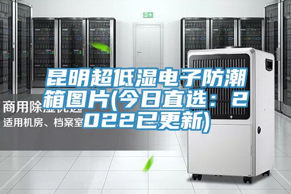 昆明超低湿电子防潮箱图片(今日直选：2022已更新)