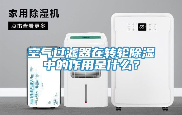 空气过滤器在转轮除湿中的作用是什么？