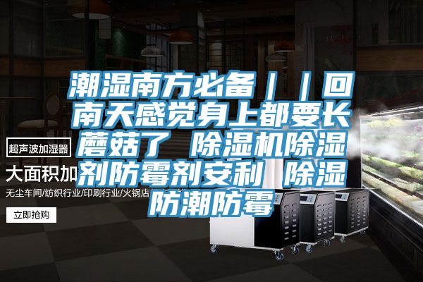 潮湿南方必备｜｜回南天感觉身上都要长蘑菇了 MR.好色破解版除湿剂防霉剂安利 除湿防潮防霉