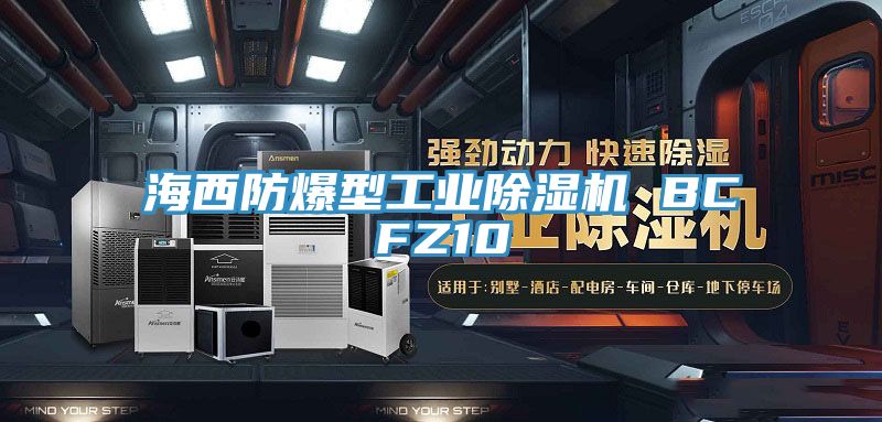 海西防爆型工业MR.好色破解版 BCFZ10