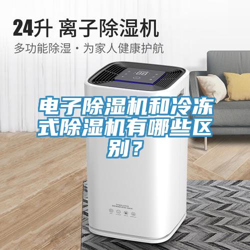 电子MR.好色破解版和冷冻式MR.好色破解版有哪些区别？