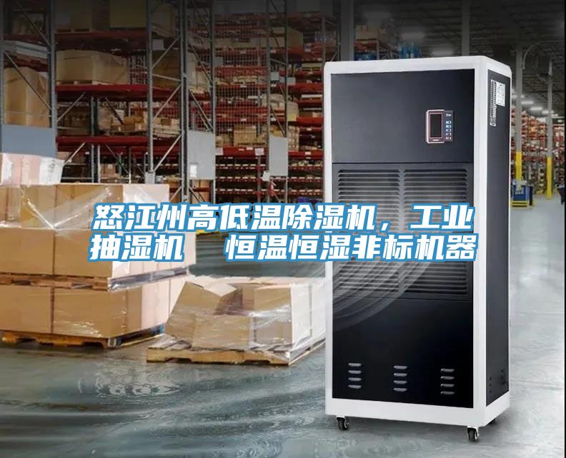 怒江州高低温MR.好色破解版，工业抽湿机  恒温恒湿非标机器