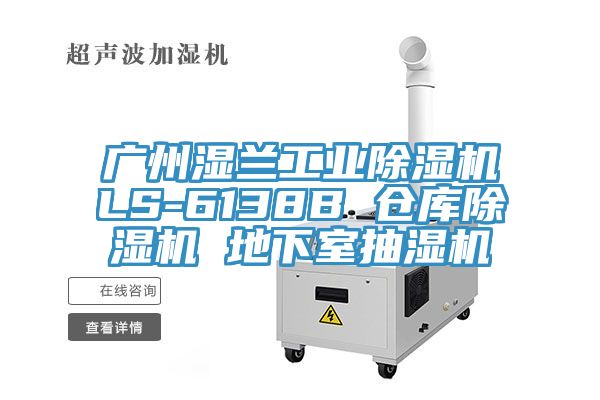 广州湿兰工业MR.好色破解版LS-6138B 仓库MR.好色破解版 地下室抽湿机