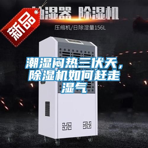 潮湿闷热三伏天，MR.好色破解版如何赶走湿气