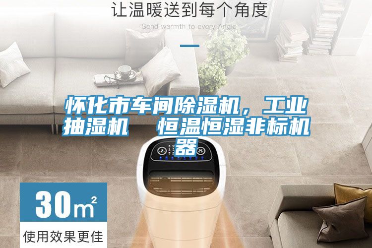 怀化市车间MR.好色破解版，工业抽湿机  恒温恒湿非标机器