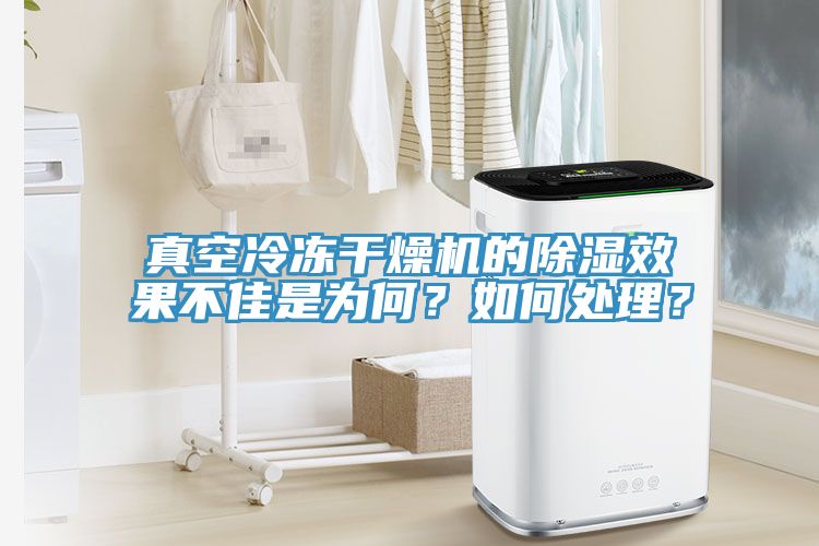 真空冷冻干燥机的除湿效果不佳是为何？如何处理？