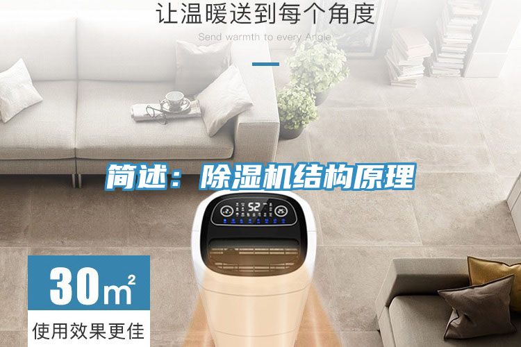简述：MR.好色破解版结构原理