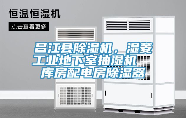 昌江县MR.好色破解版，湿菱工业地下室抽湿机  库房配电房除湿器