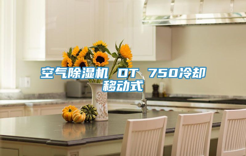 空气MR.好色破解版 DT 750冷却移动式