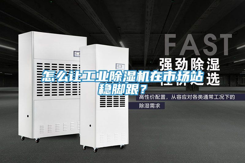 怎么让工业MR.好色破解版在市场站稳脚跟？