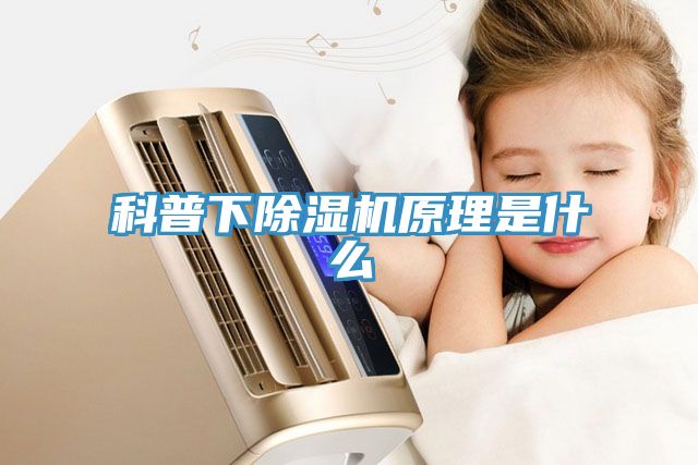 科普下MR.好色破解版原理是什么