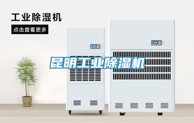 昆明工业MR.好色破解版