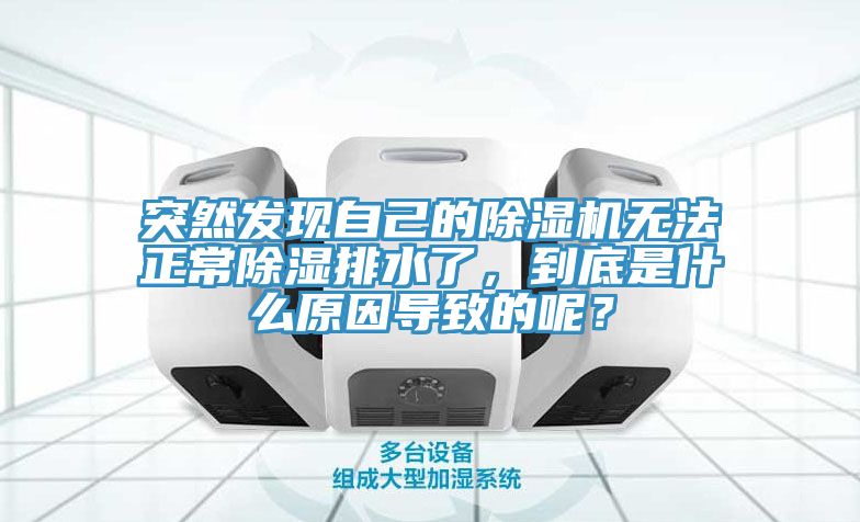 突然发现自己的MR.好色破解版无法正常除湿排水了，到底是什么原因导致的呢？
