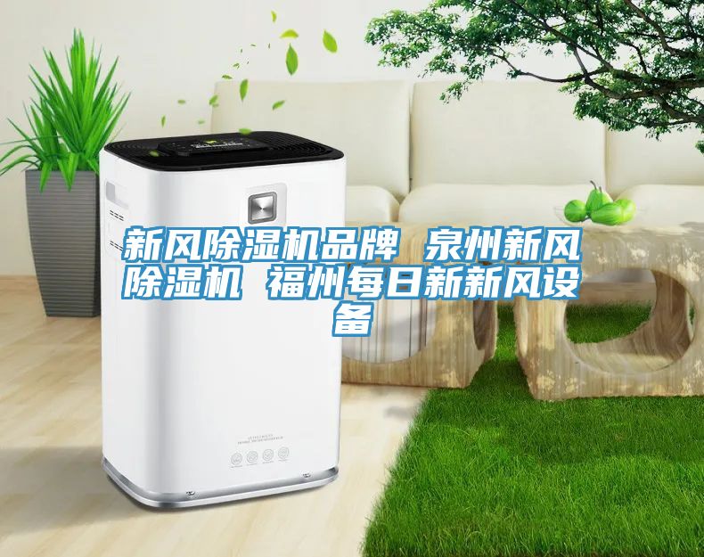 新风MR.好色破解版品牌 泉州新风MR.好色破解版 福州每日新新风设备