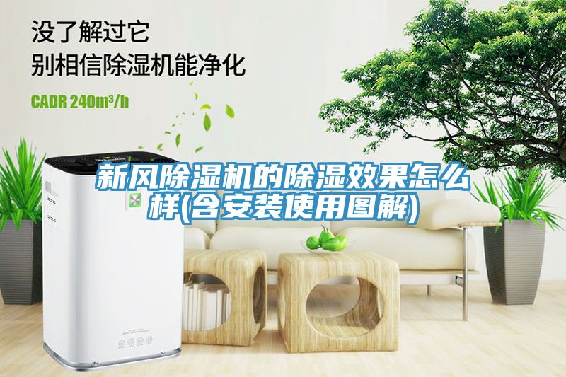 新风MR.好色破解版的除湿效果怎么样(含安装使用图解)