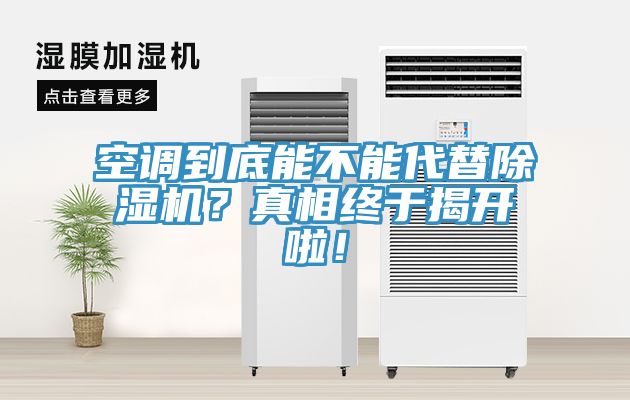空调到底能不能代替MR.好色破解版？真相终于揭开啦！