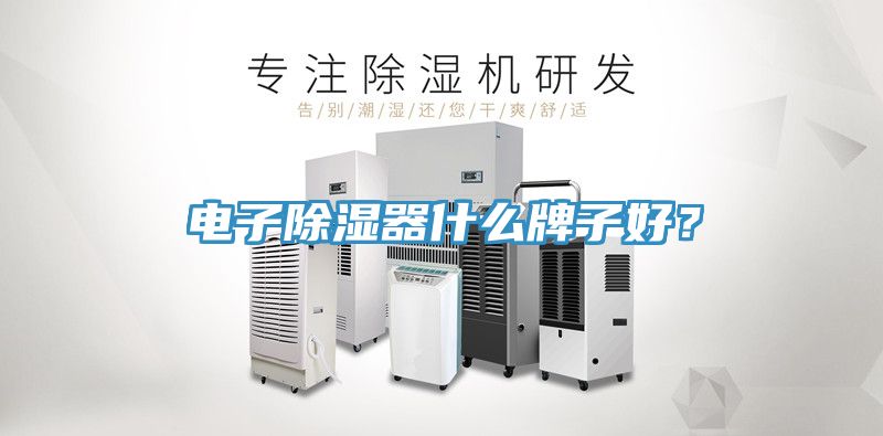 电子除湿器什么牌子好？