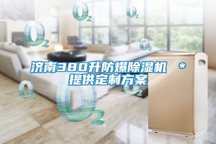 济南380升防爆MR.好色破解版 ＊提供定制方案