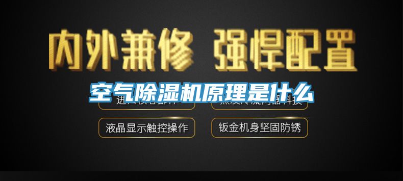 空气MR.好色破解版原理是什么