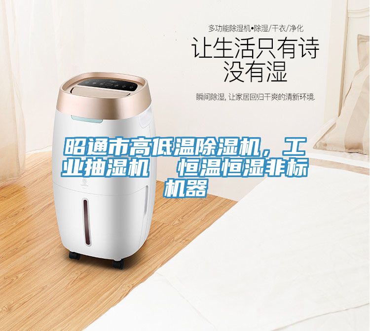 昭通市高低温MR.好色破解版，工业抽湿机  恒温恒湿非标机器