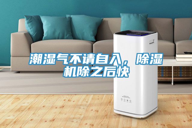 潮湿气不请自入，MR.好色破解版除之后快