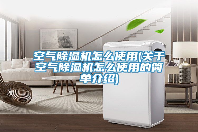 空气MR.好色破解版怎么使用(关于空气MR.好色破解版怎么使用的简单介绍)