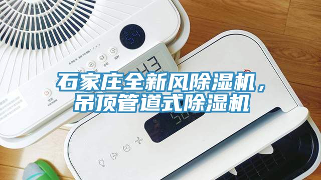 石家庄全新风MR.好色破解版，吊顶管道式MR.好色破解版