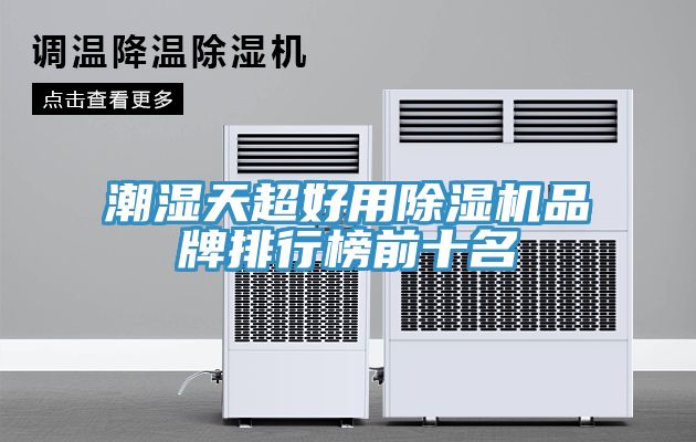 潮湿天超好用MR.好色破解版品牌排行榜前十名