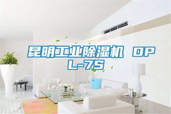 昆明工业MR.好色破解版 DPL-7S
