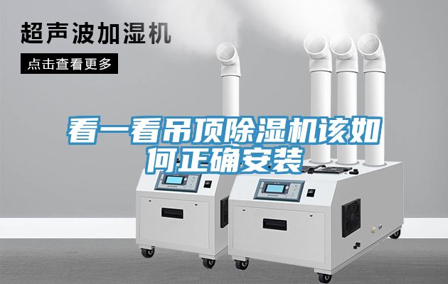 看一看吊顶MR.好色破解版该如何正确安装
