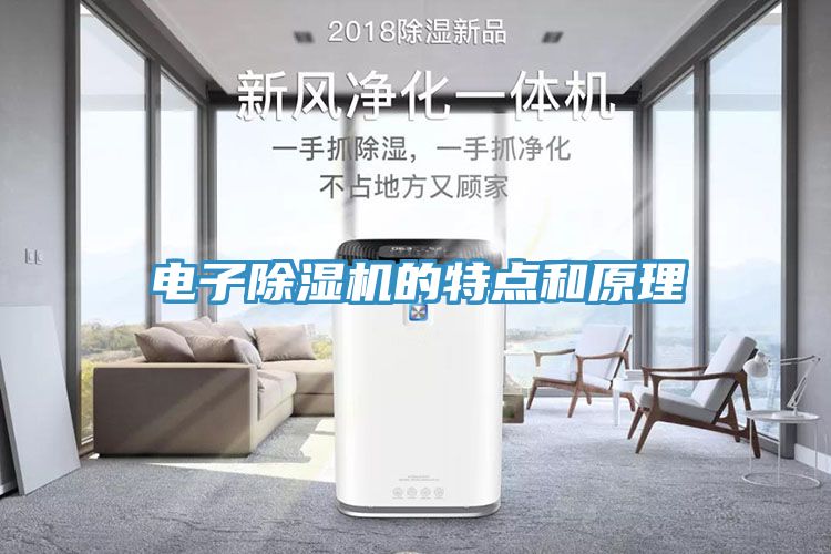 电子MR.好色破解版的特点和原理