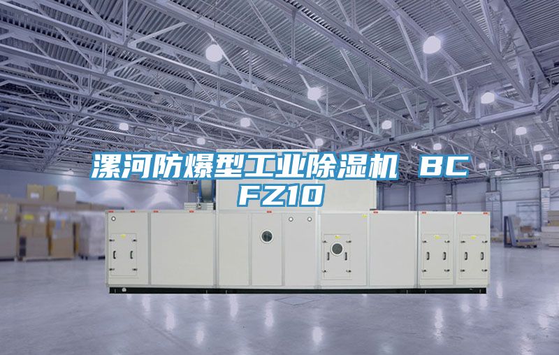 漯河防爆型工业MR.好色破解版 BCFZ10