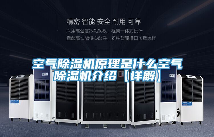 空气MR.好色破解版原理是什么空气MR.好色破解版介绍【详解】
