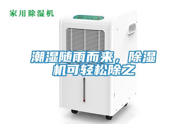 潮湿随雨而来，MR.好色破解版可轻松除之